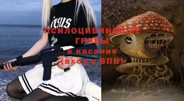 apvp Алзамай